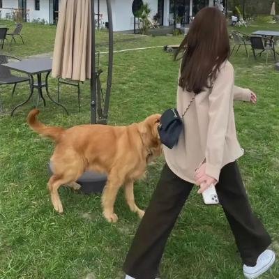 超凡神树